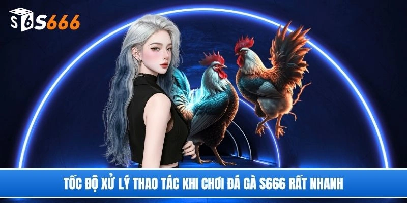 Tốc độ xử lý thao tác khi chơi đá gà S666 rất nhanh